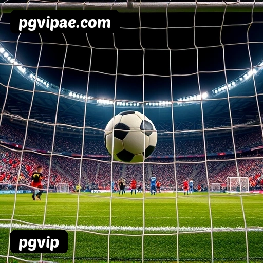 Requisitos do APK da pgvip para Android